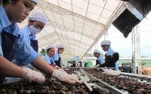 Sẽ mời Walmart trực tiếp mua hàng Việt Nam