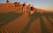 Lang thang cùng bước chân du mục