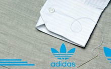 Nhặt bánh vụn của những người khổng lồ