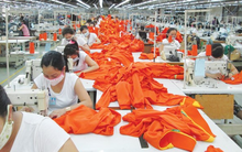 Thấp thỏm chờ thưởng Tết