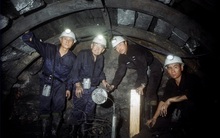 Tiến sĩ Nhật lương 1 yen ở Việt Nam