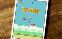 Đừng nói về tác giả, hãy nói về con chim