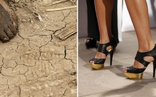 Người giàu và người nghèo Trung Quốc khác nhau đến mức nào?