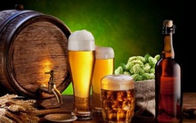 Bia tươi club: Cuộc đua của Heineken và Sapporo