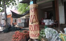 Kiếm bộn tiền nhờ ăn theo mùa vải