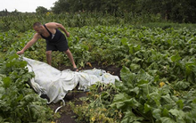 Nghi án hành khách MH17 đã chết trước khi cất cánh