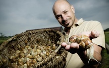 Chân dung ông trùm kinh doanh ốc sên tại Australia