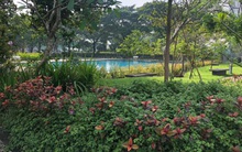 Công bố EcoXuân The Essential Residence, căn hộ chuẩn xanh cho cộng đồng chuyên gia tại Bình Dương