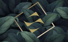 Sonkim Land ra mắt nhận diện thương hiệu mới, khẳng định cam kết với khách hàng