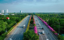 Check in “sương sương” những cây cầu đẹp mê hồn tại Ecopark