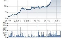 TNT phát hành thêm 25,5 triệu cổ phiếu, tăng vốn lên gấp đôi