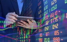 Cổ phiếu ngân hàng ngập sắc xanh, SHB "tím lịm" với hơn 700 tỷ đồng được trao tay