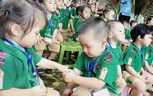 ISO 9001 trong giáo dục mầm non hiện nay