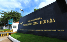 Ban lãnh đạo SBT đồng loạt đăng ký mua vào cổ phiếu