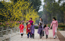 Khách sạn Việt nâng cấp dịch vụ đón khách dịp Tết Nguyên đán