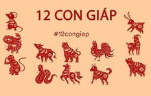 5 con giáp có sự nghiệp tươi sáng, công thành danh toại, tiền tiêu rủng rỉnh nhất năm Tân Sửu 2021