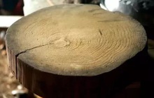 Một gia đình 4 người lần lượt mắc bệnh ung thư: "Thủ phạm" chính là loại đồ vật chứa chất độc gấp 10 lần kali xyanua có ngay trong bếp