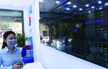 Tránh kiếm lời bằng mọi giá