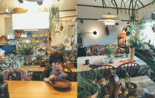 “Rừng bách thảo mát mắt” ngay trong nhà của bà nội trợ Nhật Bản khiến ai cũng ghen tị: Bạn cũng có thể làm được nếu nắm chắc bí kíp đơn giản này