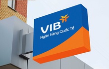 Liên tục "lướt sóng", vợ Phó Chủ tịch VIB đăng ký mua 2 triệu cổ phiếu sau khi vừa bán ra 8,5 triệu cổ phiếu