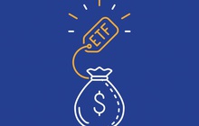 FTSE Vietnam Index thêm HSG, loại DXG khỏi danh mục trong kỳ review quý 2/2021