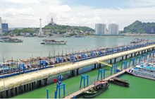 Tháo gỡ vướng mắc về thuế để DN sớm tiếp cận nguồn vốn vay từ Nghị quyết 68