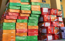 Thu giữ hơn 11.000 bánh trung thu không rõ nguồn gốc tại Hà Nội