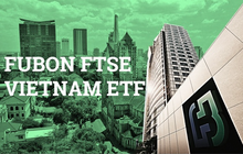 Fubon ETF tiếp tục hút ròng 250 tỷ đồng mua cổ phiếu Việt Nam trong phiên 19/1