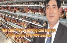 Vất vả xây dựng gia tài 17 tỷ NDT từ trang trại 300 con gà, tỷ phú Trung Quốc cuối đời phải trả giá đắt vì 1 chữ "liều"