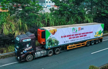 Báo Thái Lan đánh giá cao sức cạnh tranh của sầu riêng Việt Nam