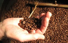 Kịch bản nào cho giá cà phê trong năm 2023?