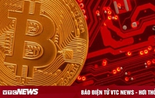 Giá Bitcoin hôm nay 29/11: Bitcoin lao dốc, thị trường đỏ lửa