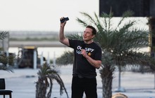 Mải mê mở lại tài khoản bị khóa, cãi vã qua lại, Elon Musk để Twitter tràn lan thông tin tiêu cực về Tesla