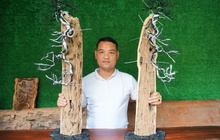 Kỹ sư bỏ việc nghìn đô, về làm bonsai "bất tử" bán cho đại gia: Doanh thu hơn 100 triệu đồng/ tháng