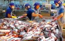 Tin vui cho thủy sản Việt: Hai doanh nghiệp được cấp phép xuất khẩu vào thị trường mới