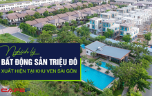 Nghịch lý bất động sản Sài Gòn: Vùng ven đón biệt thự triệu đô