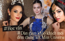 Học vấn BGK khách mời đêm Chung kết Miss Universe Vietnam 2022: Người là Cử nhân thương mại, người là Thạc sĩ âm nhạc
