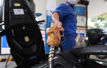Giảm thuế xăng dầu bao nhiêu là đủ?