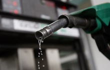 Chính phủ yêu cầu sớm báo cáo phương án giảm thuế xăng dầu