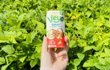 Vinasoy và chiến lược mạnh mẽ hậu Covid-19: Ra mắt sữa chua từ hạt đậu nành đầu tiên tại Việt Nam, khảo nghiệm toàn bộ 1.533 nguồn gen quý sau 10 năm thu thập