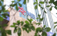 MB sắp bán đấu giá 8 bất động sản tại Cà Mau giá khởi điểm 33 tỷ đồng