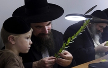 Vì sao bố mẹ người Do Thái không bao giờ hỏi “Hôm nay con đã học gì trên trường?”