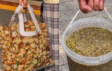 Blogger đựng đồ ăn trong túi nhựa trong suốt phản ánh hiện tượng gây bức xúc trong xã hội ngày nay