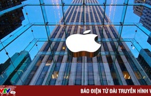 Apple yêu cầu nhân viên quay lại văn phòng bắt đầu từ ngày 5/9