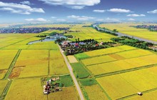 Quảng Nam 'khai tử' 2 dự án hơn 5.400 tỷ đồng