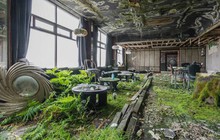Khám phá bên trong khách sạn bị bỏ hoang tại Ireland, nơi khung cảnh được bao trùm bởi thảm thực vật