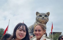 Mồng 5 tết, 'hoa hậu mèo' Quảng Trị vẫn hút đông người tới chụp hình