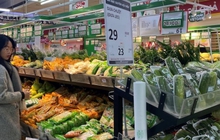 Sau Tết, hàng hóa đầy ắp siêu thị, chợ Hà Nội, giá ổn định