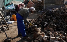 Hơn 160 người chết vì rét đậm ở Afghanistan
