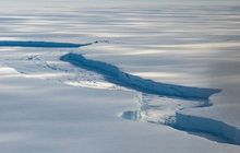 Tảng băng trôi có kích thước bằng London tách ra ở Nam Cực